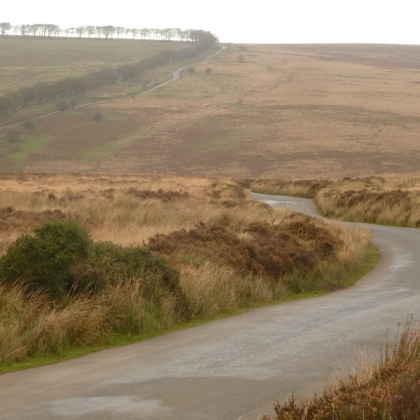 Moorland - ideal location for filming in Devon and the South West of England